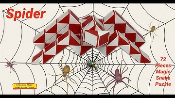 Spider - 72 Pieces Magic Snake Puzzle #snakelordmagicsnakepuzzletutorial