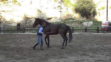 Cretan Atlas - Ground Work (free)