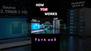 The SCARY reality of the Dark Web #shorts #cybersecurity
