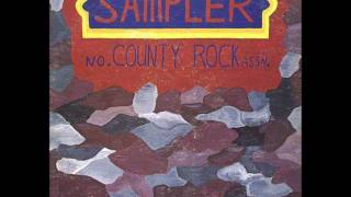 Video thumbnail of "North County Rock Association [USA] - Sampler, 1973 (a_3.Gina's Song)."