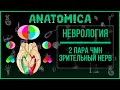 Неврология |Черепные нервы| 2 пара ЧМН - Зрительный нерв