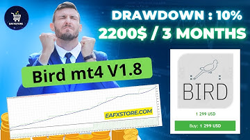 Backtest EA | Bird mt4 V1.8 Review (Profit : 35% / Months) | FX STORE EA