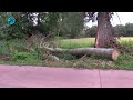 Nog steeds sporen storm bij fietspad tussen Alkmaarderhout en Heiloo