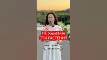НИКОГДА не обрезайте ЭТИ растения летом. И вот почему🤷‍♀️