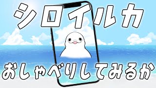 【突発縦型配信】おしゃべりシロイルカのお雑談【白・まろやか】 #shorts