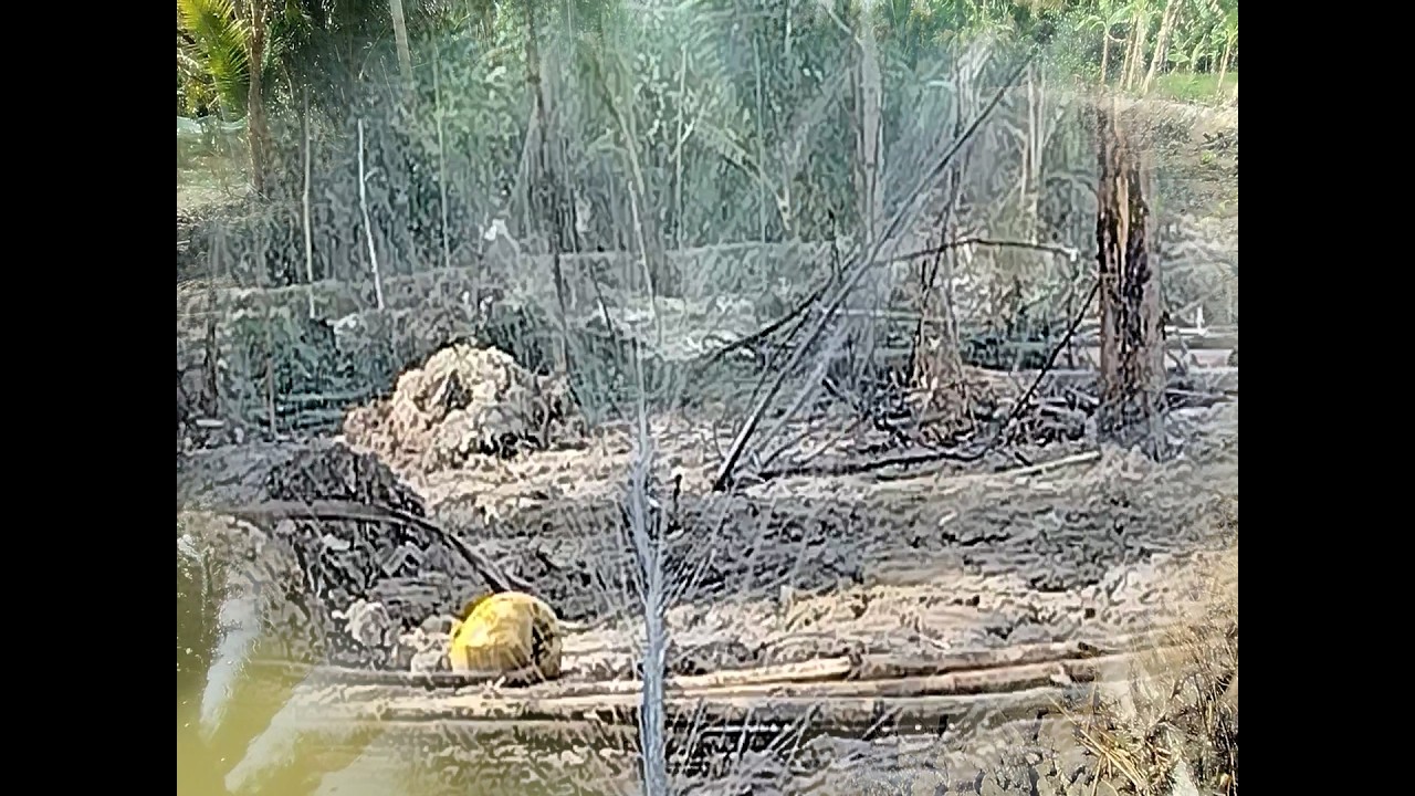 MÔ HÌNH TƯỚI NƯỚC TỰ ĐỘNG TIẾT KIỆM HIỆU QUẢ   PHẦN 3