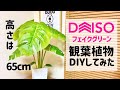 【全部100均】モンステラのフェイクグリーンをDIYしてみた！