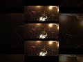 sunsetinfall 「swim / Peel off / Twilight Zone」RELEASE SHOW 2024.12.21 at 吉祥寺WARP