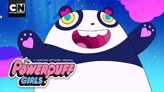 Hugs Make Everything Better | Powerpuff Girls | Cartoon Network