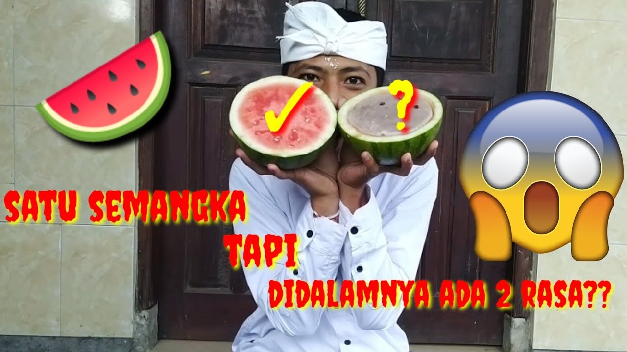 MEMBUAT KUE AGAR-AGAR DI SEMANGKA?  Duvexx YT - YouTube