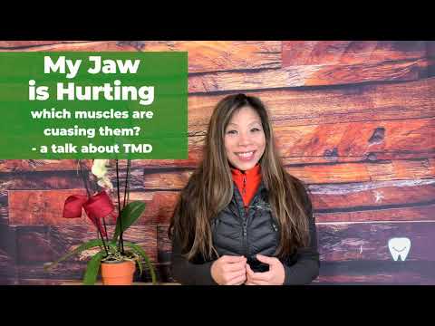 My jaw is hurting - which muscles are causing the pain? _Dr. Yang's TMD TALKs (2)