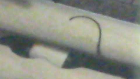 LASER Cut Puzzle -Part 2 of 4 - Making the Profiles