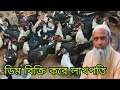 হাঁসের ডিম বিক্রি করে লাখপতি হওয়ার সুযোগ। হাঁস পালন পদ্ধতি। Live China duck Farming video.
