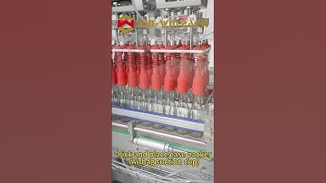 pick and place case packer for wine bottles #casepacker #packingmachine #shorts