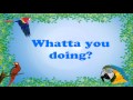 Teach your parrot to say whatta you doing