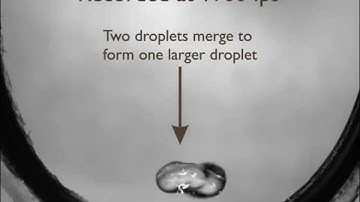 Water Droplet Bouncing on a Superhydrophobic Carbon Nanotube Array