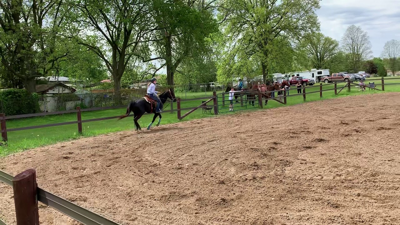 Strathroy club show - Barrel racing with Hannah