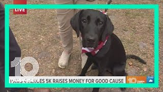 5K, walk-a-thon benefits Southeastern Guide Dogs to provide service dogs to veterans