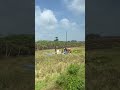 Pemandangan Saat Naik Kereta! Mudik Part 20! #mudik #keretaapi #kai #railfansindonesia #train