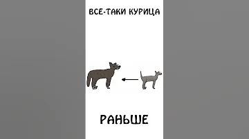 Все таки КУРИЦА появилась раньше чем ЯЙЦО #курица #яйцо #шортс #спор #академияброкколи #анимация