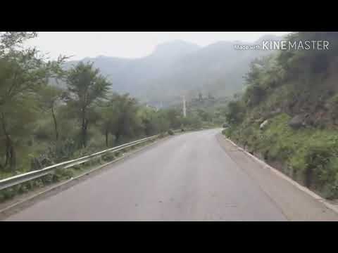 خط العدين الجراحي