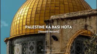 Kash Yaron Main Palestin Ka Basi Hota😭❤️🩹 Emotional Nasheed ❤️🩹✨#nasheed #emotional #slowedandreverb