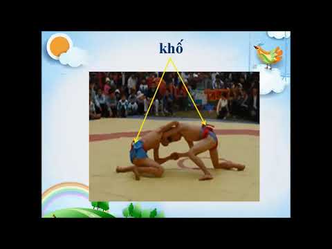 Tập đọc - Kể chuyện - Chính tả Lớp 3 - Tuần 25 - Bài: HỘI VẬT