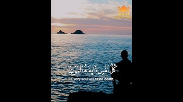 كُلُّ نَفسٍ ذائِقَةُ المَوتِ بصوت هادي القارئ شريف مصطفى// حالة وتساب