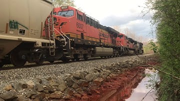 NS 60F On The SWP Railroad