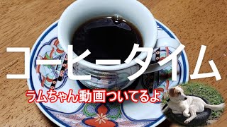 オンラインコーヒータイム  ドリップ式の方法が分かる 加藤珈琲店の豆使用