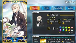 [FGO NA] The 9 million damage Bedi np (lvl 120 damage test)