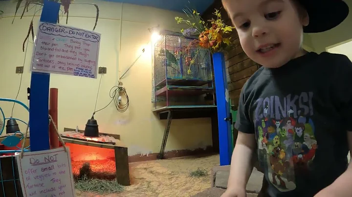 Visiting Big Red's Barn Indoor Animal Experience -...