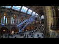 Natural history museum   london