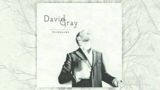 David Gray - Forgetting (Official Audio) chords