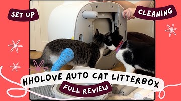 AWESOME auto cat litter box HHOLOVE - review, unboxing, set up, deep cleaning