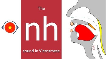 🇻🇳 Vietnamese : nh sound. Learn sound system in Vietnamese. Vietsound.