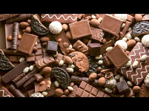 Chocolate lovers whatsapp status||Chocolate lovers||whatsapp status video||Instagram status||#short