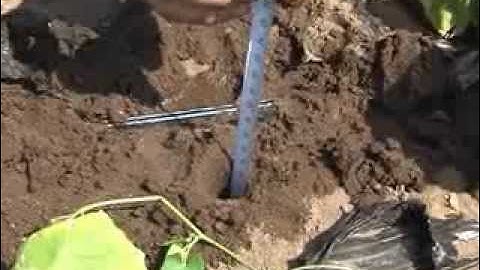 Irrometer Tensiometer installation - by MMM tech support