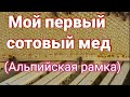 Сотовый мед в Альпийской рамке просто супер!!!