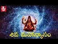 Mahanyasam Rudrabhishekam| Shiva Stotram | Lord Shiva Mantra | Sanskrit Hinduism Kundalini Om Chakra