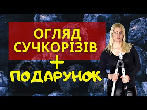 НАЙДЕТАЛЬНІШИЙ огляд сучкорізів