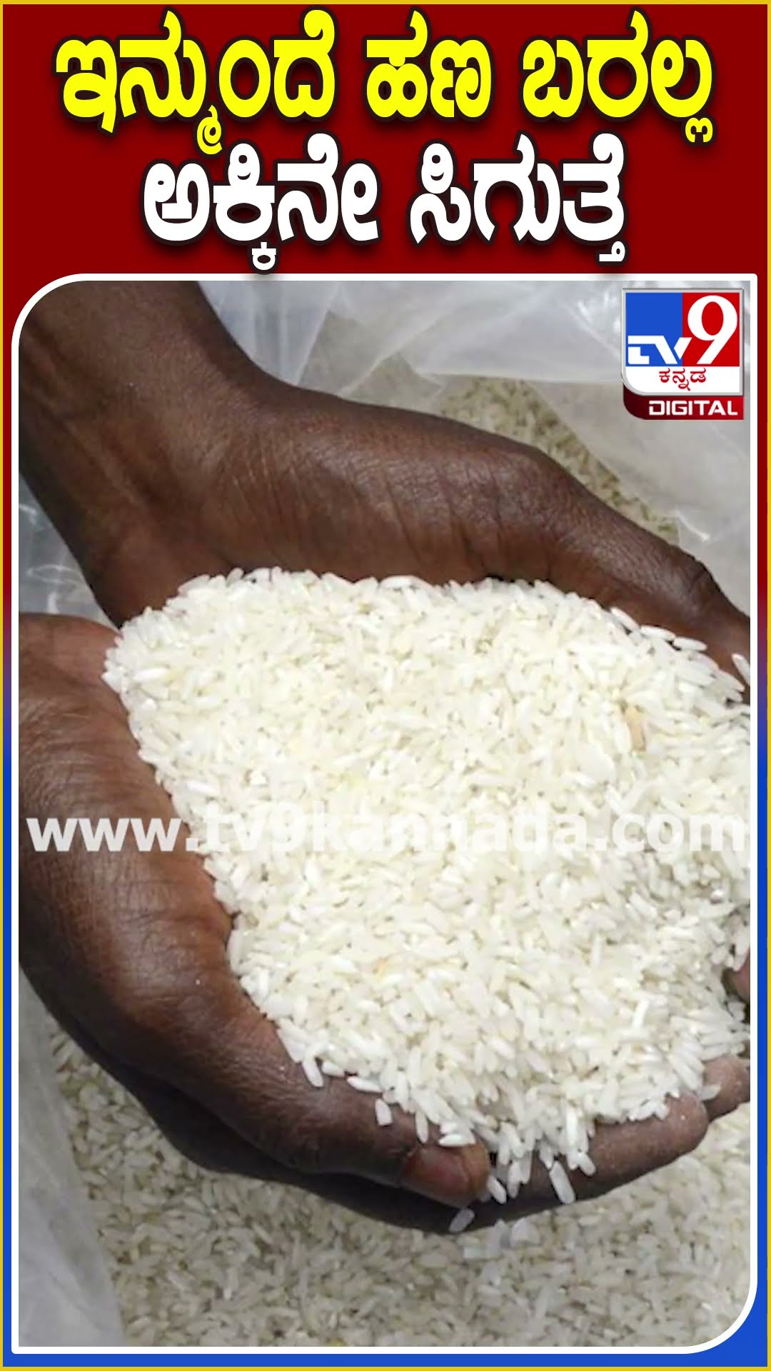 ಇನ್ಮುಂದೆ ಹಣ ಬರಲ್ಲ ಅಕ್ಕಿನೇ ಸಿಗುತ್ತೆ! #Annabhagyascheme #TV9D