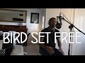 Sia - Bird Set Free COVER (Official Video by Valentin)