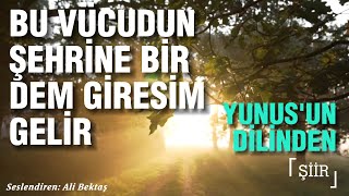 Bu Vücudun Şehrine Bir Dem Giresim Gelir Yunusun Dilinden Şiirler Sufi Music Ali Bektaş