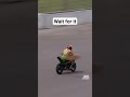 oh deer! 🦌😱 #motoamerica #motorcycle #motorsport