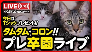 🔴【4月26日(土) 20時スタート予定】たむたむ&ころんちゃん 卒園おめでとうライブ💐