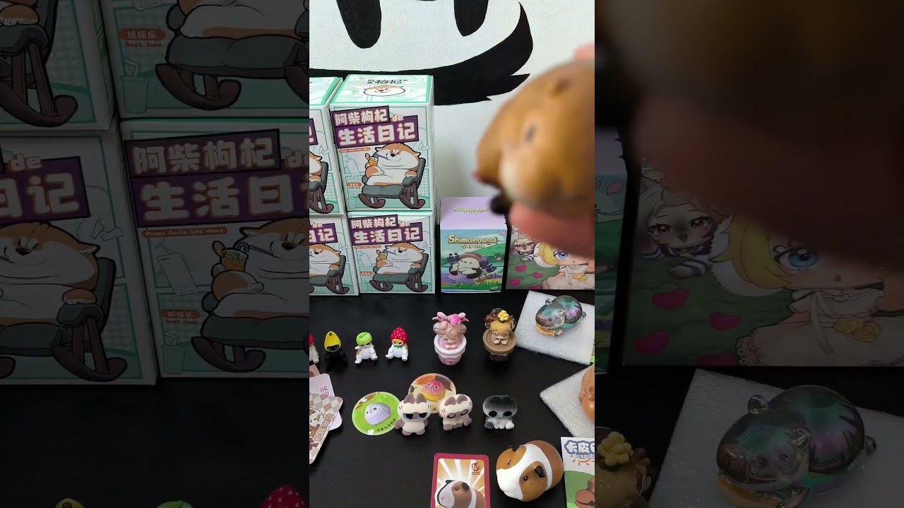 Almost opening a Zoo now 😂 