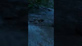 Far Cry 3 easter eggs  #games