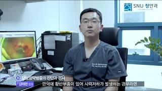 [SNU청안과 망막클리닉]당뇨망막병증 진단과 검사