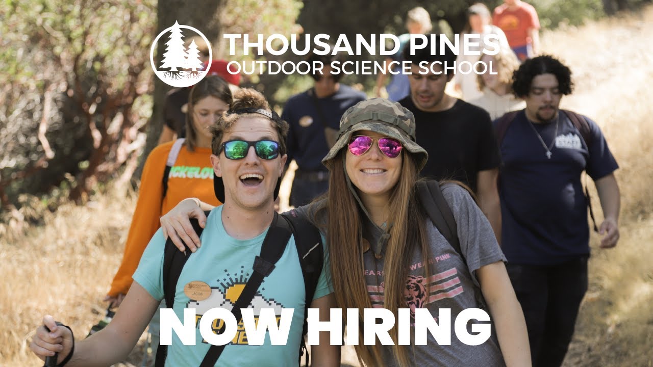 Thousand Pines Outdoor Science School Now Hiring! 🌲 YouTube